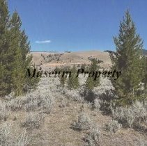 Cassel Homestead looking east