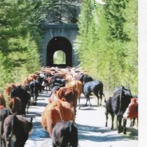 Railroad Tunnel leading to Elk Park