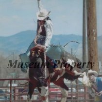 Cowboy and Bucking Bronco