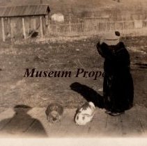 Emil Saari's rabbits