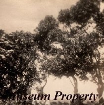 John Saari World War II