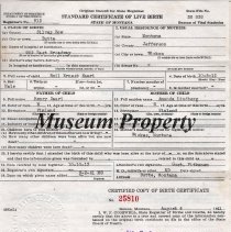 Emil Saari Birth Certificate