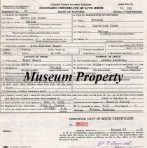 John Kustava Saari Birth Certificate