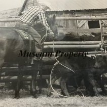 Branding at Compton Ranch