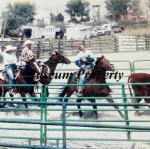 McCauley Team Penning