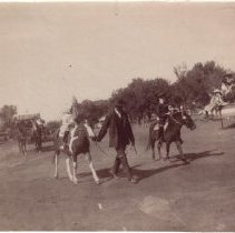 Parade with horses