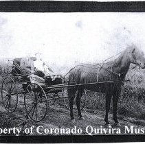 couple in horse drawn buggy