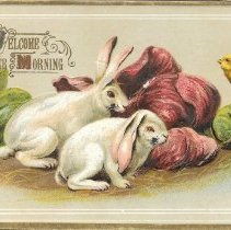 Welcome Easter Morning