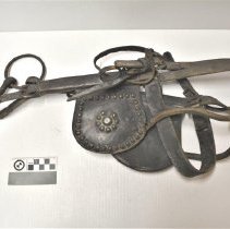 2014.10.14 (1) Scale