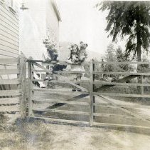 A2023_000_010_036_helen And Pauline Mcdonald Sitting On A Fence (1914)