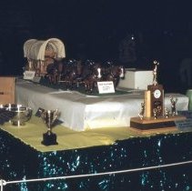 A2024_000_052_089_trophy Display At The Rossland Fall Fair (1954)