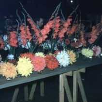 A2024_000_052_104_flowers On Display At Rossland Fall Fair (1954)