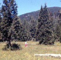 A2024_000_052_113_rossland Hike (1961)