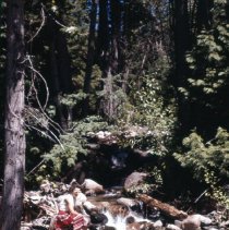A2024_000_052_114_rossland Hike(1961)