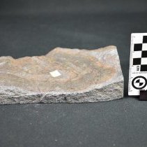 2010.22.18 (1) Front