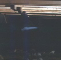 A2018_023_070_basement (1978-1980)