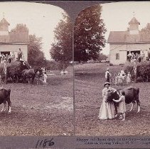 Cherry Tree Home Spring Valley NY