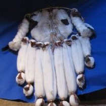 Native American mandel shield