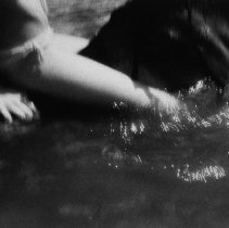 Fogue and the Horse Swimming