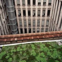 Mellon Institute (looking North) Pittsburg, PA