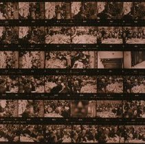 Untitled (Contact-print)