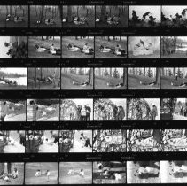 Untitled (Contact-print)