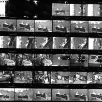 Untitled (Contact-print)