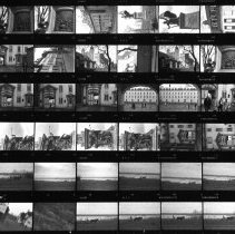 Untitled (Contact-print)