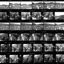 Untitled (Contact-print)