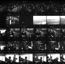 Untitled (Contact-print)