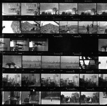 Untitled (Contact-print)