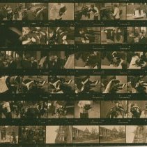 Untitled (Contact-print)