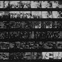 Untitled (Contact-print)