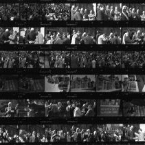 Untitled (Contact - print)