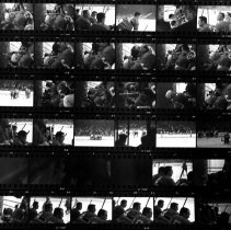 Untitled (Contact-print)