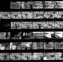 Untitled (Contact-print)