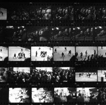 Untitled (Contact-print)