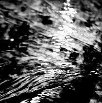 Water Movement