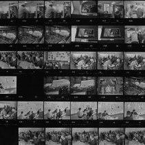 Untitled (Contact-print)