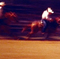Rodeo-Arcadia, FL