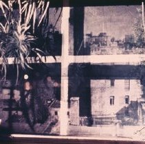 Falling Shadow Window