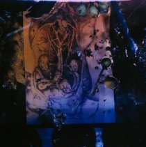 untitled (Family Tree Series)