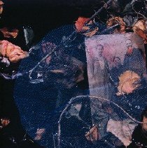 untitled (Family Tree Series)