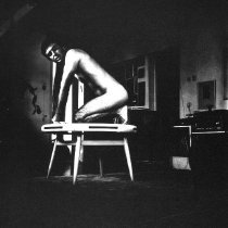 The Artist's Portrait as a Lion