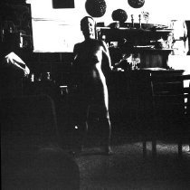 Figure in the Kitchen