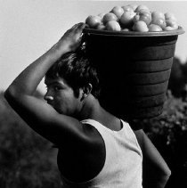 Tomato Picker Waiting for Pick-Up Immokalee Florida