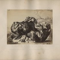 Ein wildes Schwein von Hunden angefallen, von J. Jacobsen