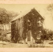 Two story house covered in Ivy.