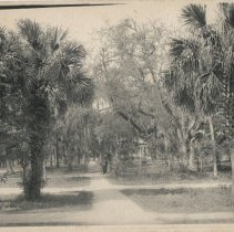 Park with palms and oaks, path leading to house, men standing on the path.