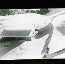 Snow-covered Cottage